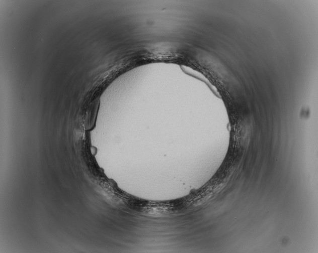 X0000098220368200805151323