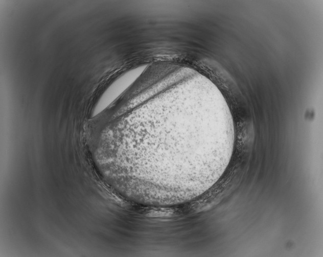 X0000098220369200805151323