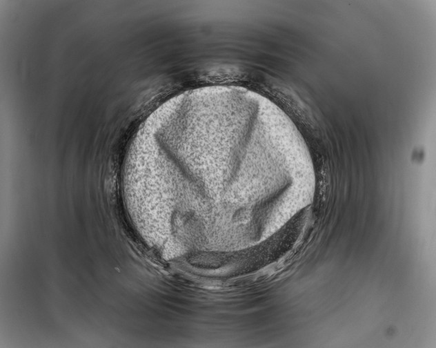 X0000098220371200805151323