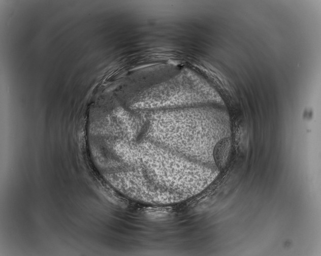 X0000098220373200805151323