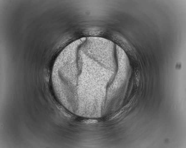 X0000098220374200805151323