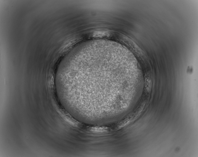 X0000098220375200805151323