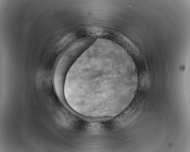 X0000098220376200805151323