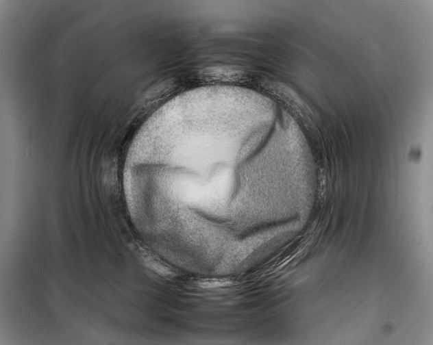 X0000098220377200805151323