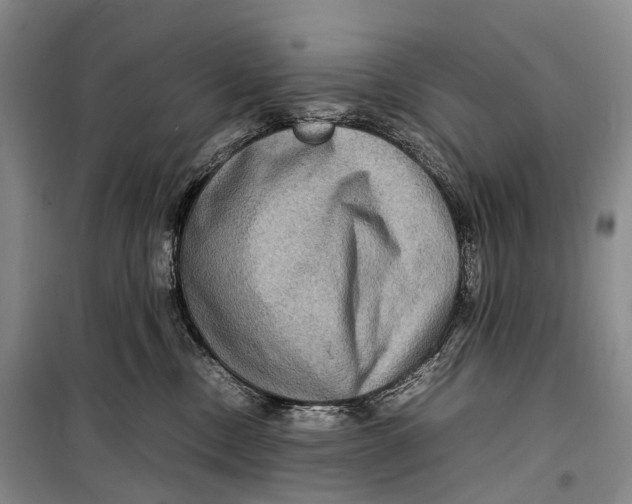 X0000098220378200805151323