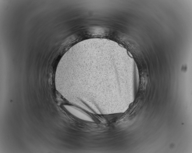 X0000098220379200805151323