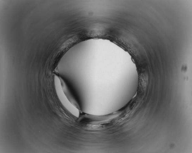 X0000098220380200805151323