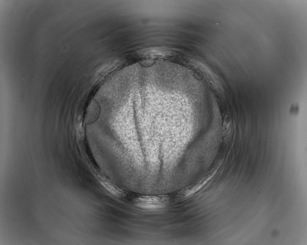 X0000098220381200805151323