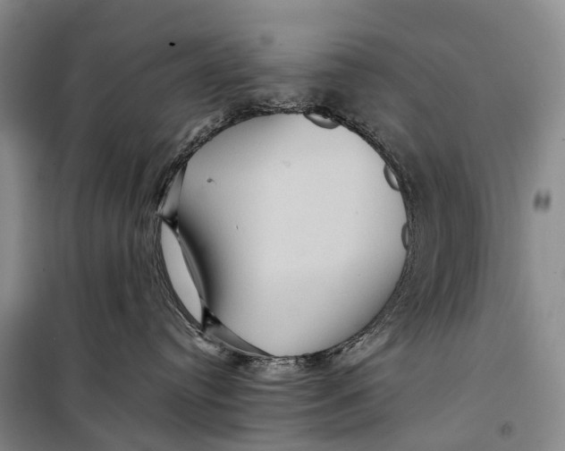 X0000098220384200805151323