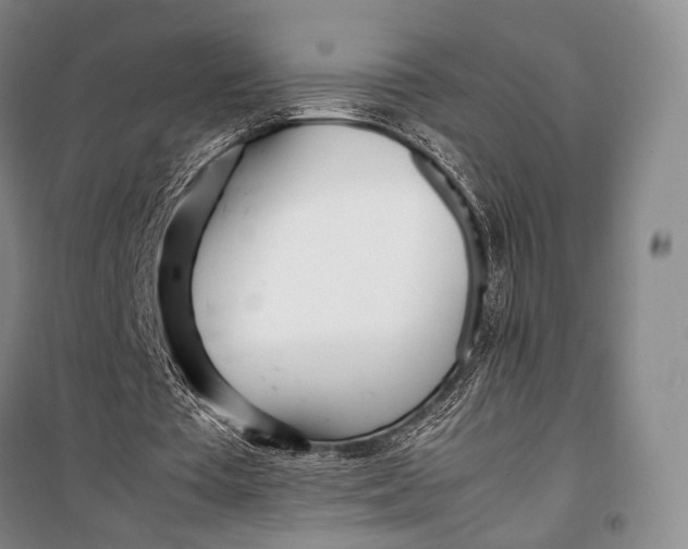 X0000098220385200805151322