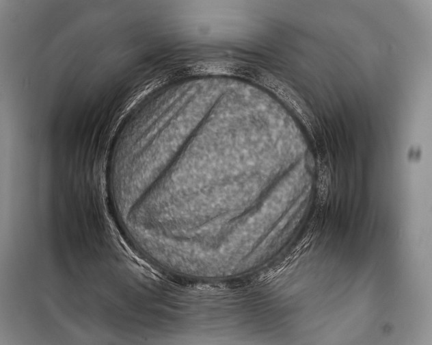 X0000098220386200805151322