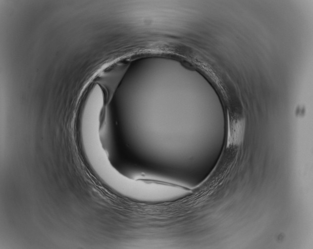 X0000098220387200805151322