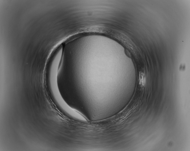 X0000098220388200805151322