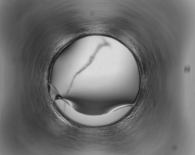 X0000098220389200805151322