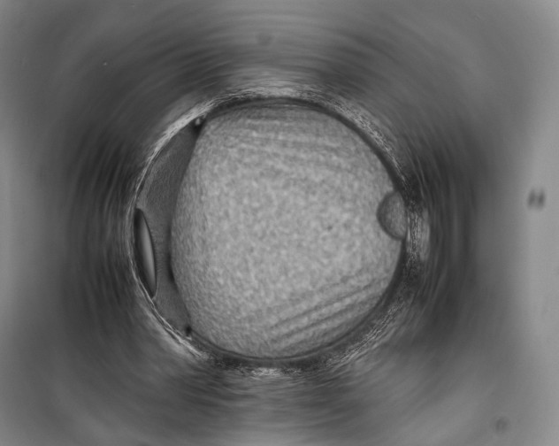 X0000098220390200805151322