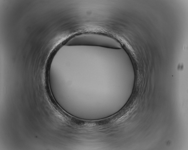 X0000098220391200805151322