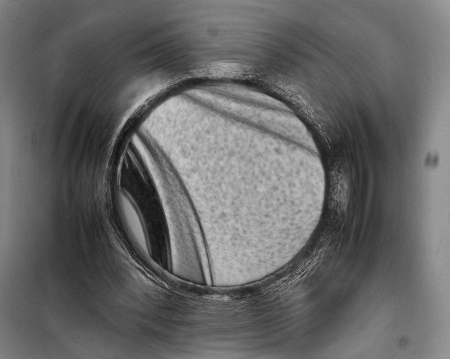 X0000098220392200805151322