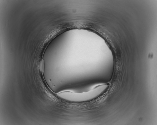 X0000098220393200805151322