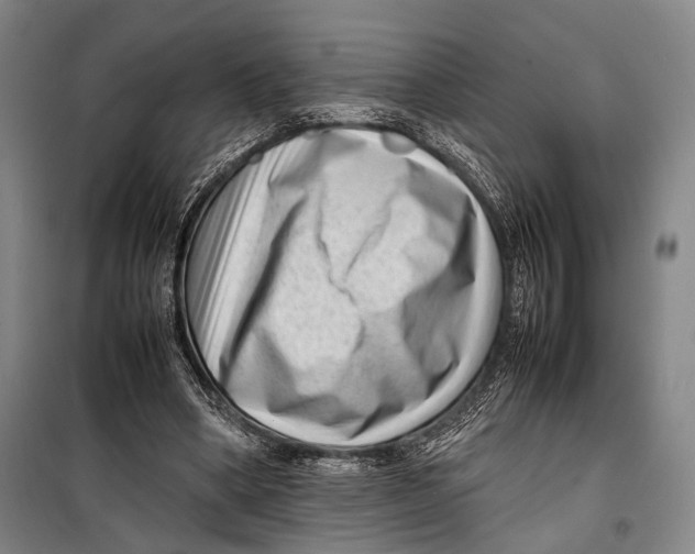 X0000098220394200805151322