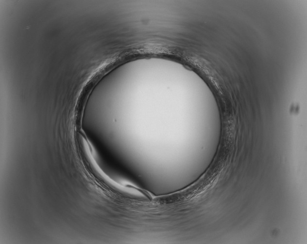 X0000098220395200805151322