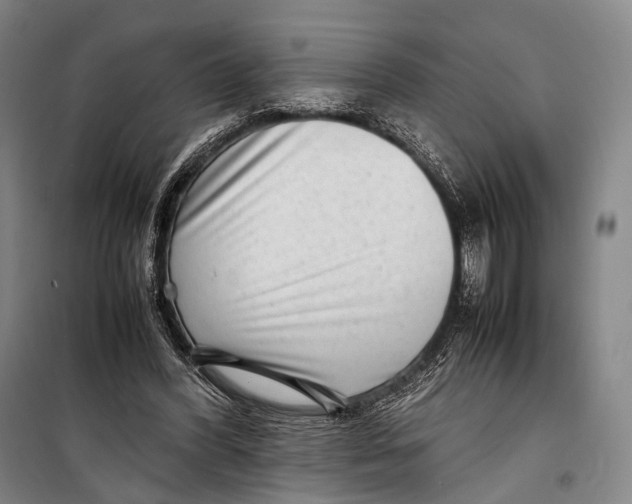 X0000098220396200805151322