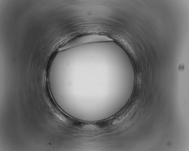 X0000098220397200805151322