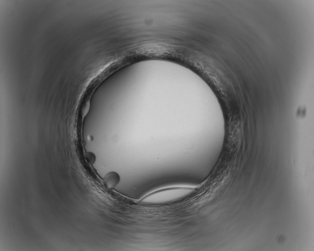 X0000098220399200805151322