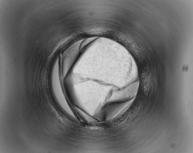 X0000098220400200805151322