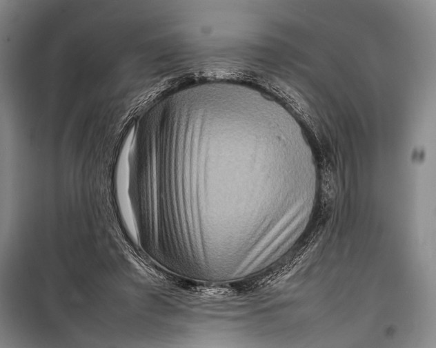 X0000098220401200805151322