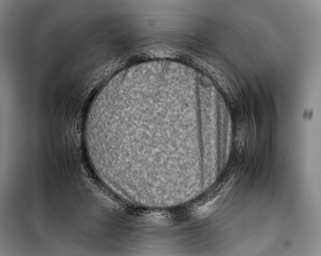 X0000098220402200805151322