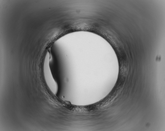 X0000098220403200805151322