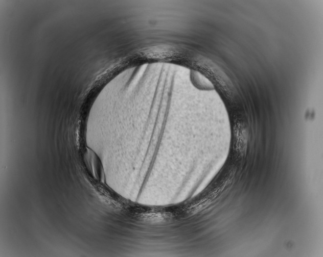 X0000098220404200805151322