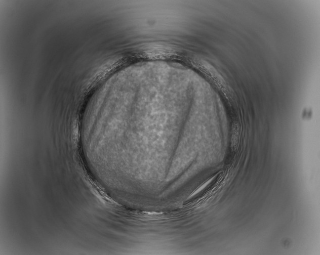 X0000098220405200805151322