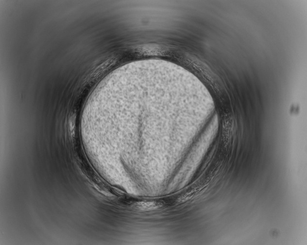 X0000098220406200805151322