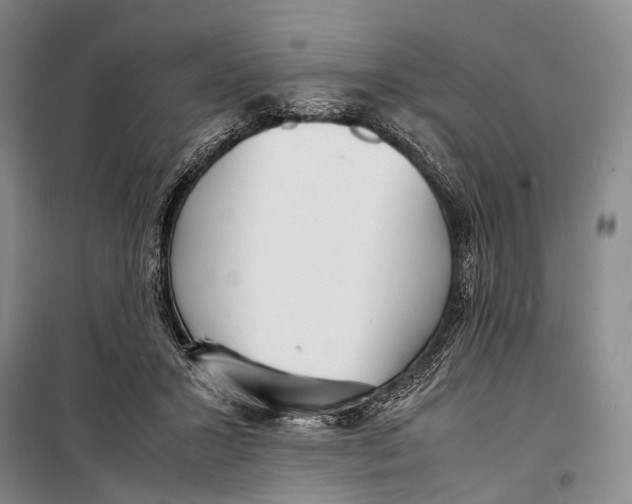 X0000098220407200805151322