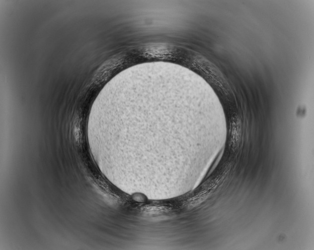 X0000098220408200805151322