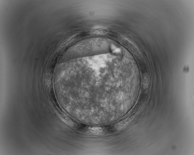 X0000098220409200805151322