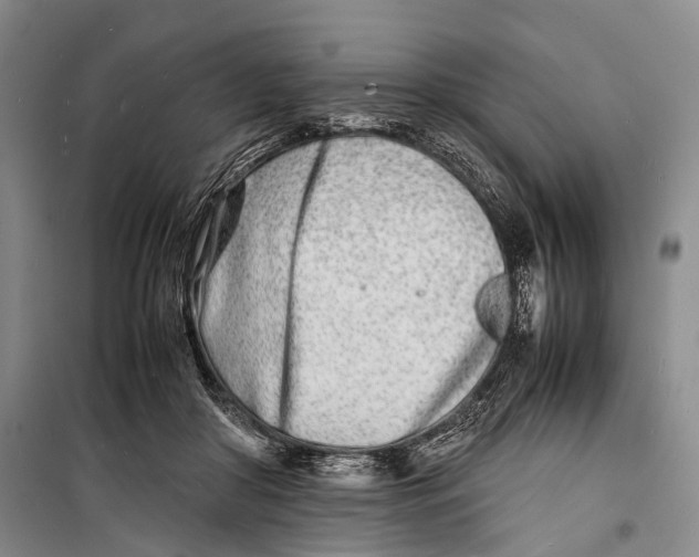 X0000098220410200805151322