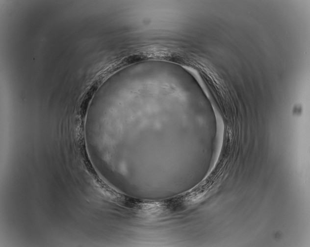 X0000098220411200805151322