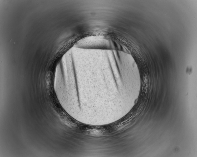 X0000098220412200805151322