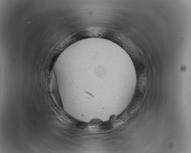 X0000098220413200805151322