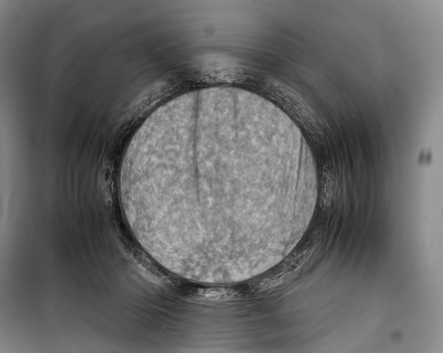 X0000098220414200805151322