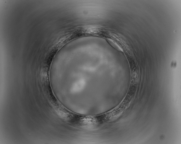 X0000098220415200805151322