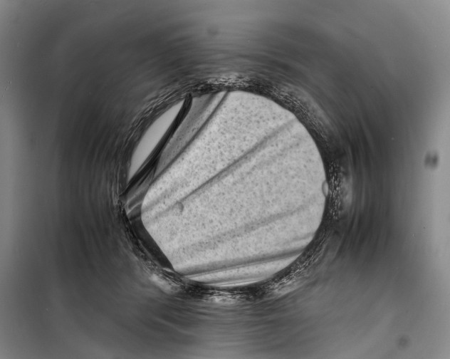 X0000098220416200805151322