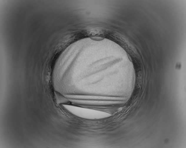 X0000098220417200805151322