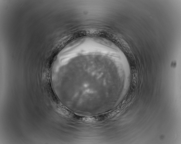 X0000098220419200805151322