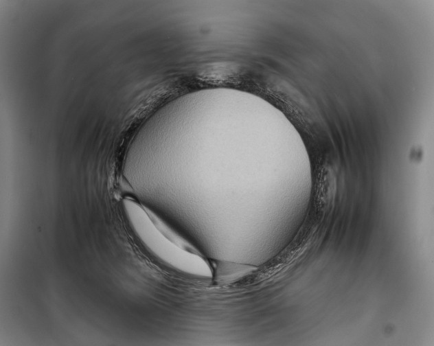 X0000098220420200805151322