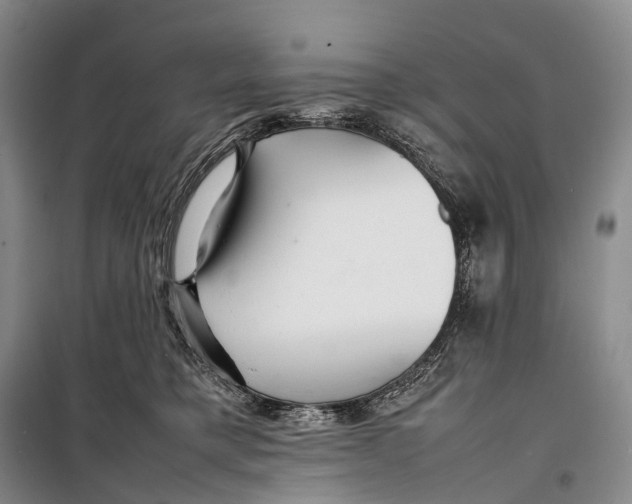 X0000098220421200805151322