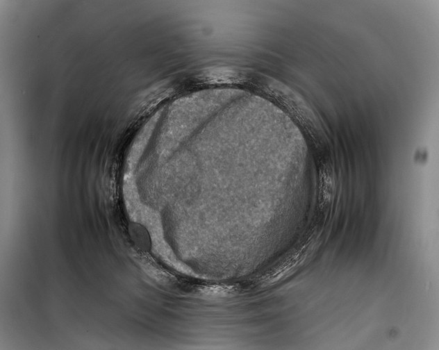 X0000098220422200805151322