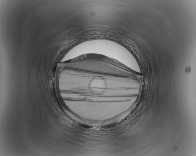 X0000098220423200805151322